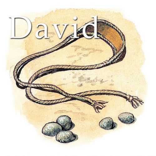 2005 - David - a sermon series